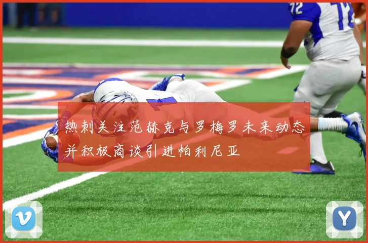 热刺关注范赫克与罗梅罗未来动态并积极商谈引进帕利尼亚