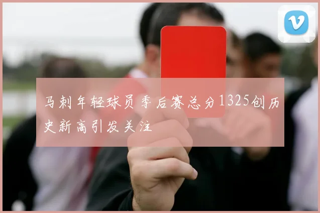 马刺年轻球员季后赛总分1325创历史新高引发关注