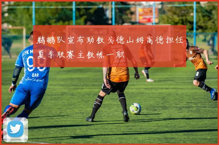 鹈鹕队宣布助教戈德山姆高德担任夏季联赛主教练一职